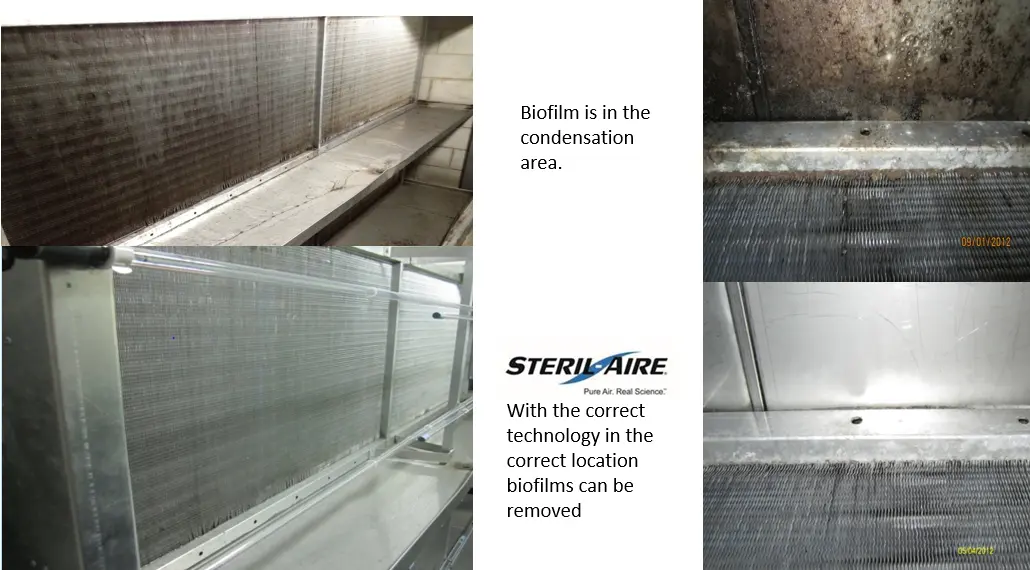 Steril-Aire Germicidal UVC for simultaneous coil efficiency and Indoor air quality